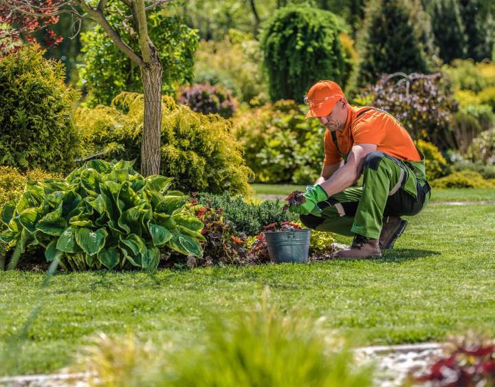 Aménagement de jardin Évreux